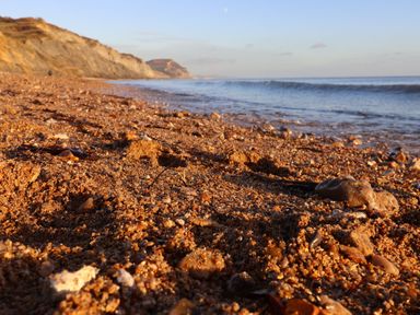 A sandy beach with small stones and seaweed at The Granary Wyke Nr Axminster