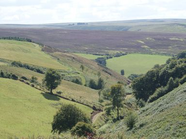 A landscape with rolling hills and fields at Woodedge Minehead