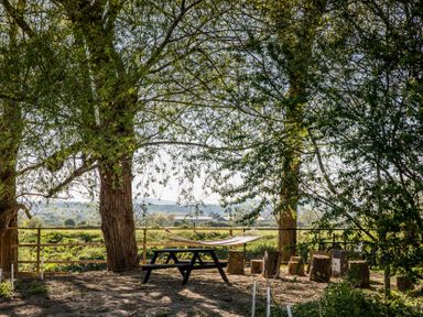 An outdoor area with a table and hammock surrounded by trees at The Larch House Farndon