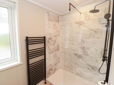 A bathroom with a glass shower and towel warmer at Dolphin in Haverfordwest