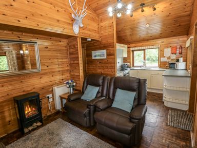 A living room with a sofa and fireplace at Oak Lodge in Mynydd Cerrig near Porthyrhyd