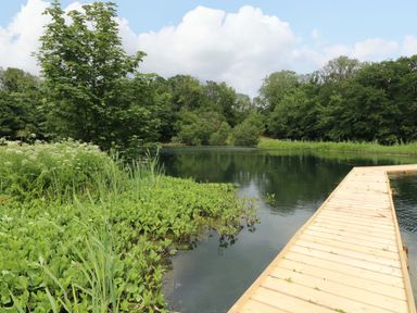 A pond with a dock and greenery at Oak Lodge Mynydd Cerrig near Porthyrhyd