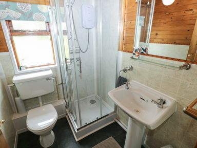 A bathroom with a shower, toilet, and sink at Ash Lodge in Mynydd Cerrig near Porthyrhyd