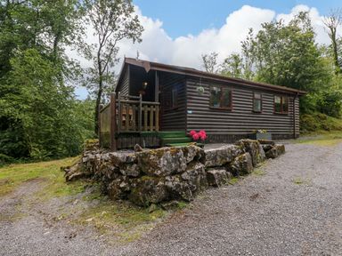 A wooden cabin with porch and gravel driveway at Ash Lodge in Mynydd Cerrig near Porthyrhyd