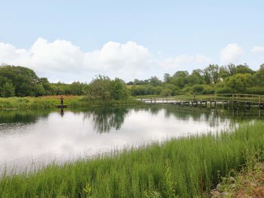 A lake with a bridge and greenery at Ash Lodge Mynydd Cerrig near Porthyrhyd