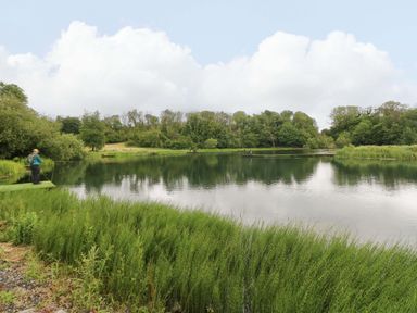 A person fishing by a lake surrounded by greenery at Ash Lodge Mynydd Cerrig near Porthyrhyd