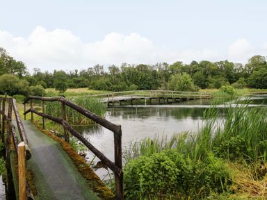 A bridge over water with reeds in the foreground at Ash Lodge in Mynydd Cerrig near Porthyrhyd