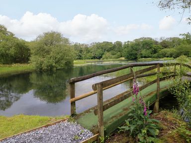 A bridge over a pond surrounded by greenery at Ash Lodge in Mynydd Cerrig near Porthyrhyd