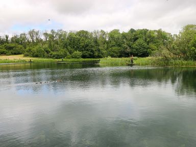 A lake with a person fishing and ducks swimming at Ash Lodge, Mynydd Cerrig near Porthyrhyd