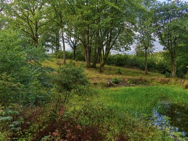 A landscape with trees and water at West Cottage in Llandovery