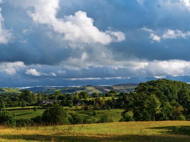 A scenic view of hills and trees at West Cottage in Llandovery
