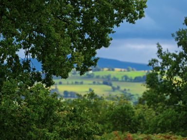 A landscape view with trees framing hills and a cloudy sky at West Cottage in Llandovery