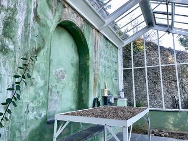 A greenhouse with a table of gravel and green walls at West Cottage Myddfai near Llandovery