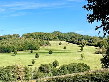 A scenic view of hills and trees in a field at West Cottage in Myddfai near Llandovery