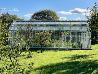 A greenhouse with plants surrounded by grass at West Cottage in Myddfai near Llandovery