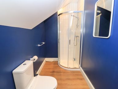 A bathroom with a shower and toilet at Peewit Coach House in Moreton-in-Marsh