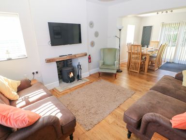 A living room with a television and fireplace at Hawthorns in Swansea