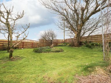 A garden with trees and a flower bed at Clawddcam in Mathry