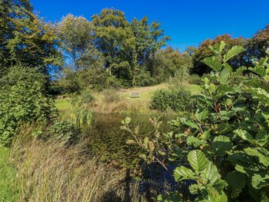 A pond with a bench and trees in Cadno Llanybydder