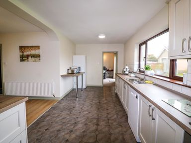 A kitchen with refrigerator and microwave at Shamrock House
