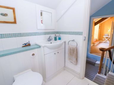 A bathroom with a sink and toilet at Zenobia in New Quay