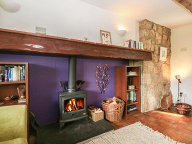 A living room with a wood stove and bookshelf at Neuadd Wen Gaerwen