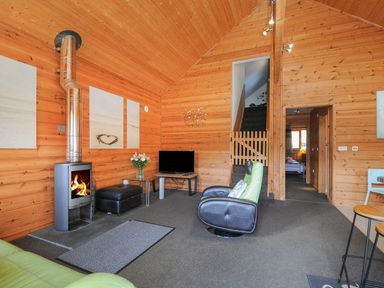 A living room with wooden wall and stove at Trevano in St Breward
