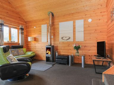 A living room with a fireplace and seating area at Trevano in St Breward
