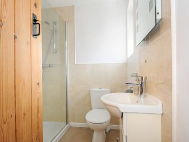 A bathroom with a shower, toilet, sink and mirror at Trevano in St Breward