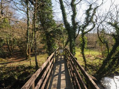 A wooden bridge surrounded by trees and a stream at Trevano in St Breward