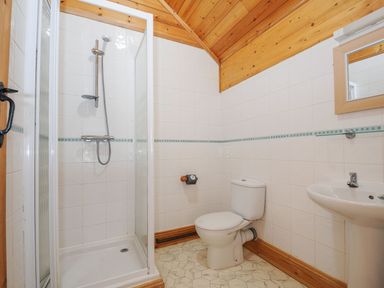 A bathroom with a shower, toilet, and sink at Pencarrow St Breward