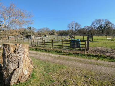 An outdoor area with a tree stump and fenced animal shelters at Pencarrow in St Breward