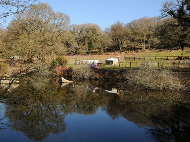A scene with water reflecting trees and playground at Trebah in St Breward