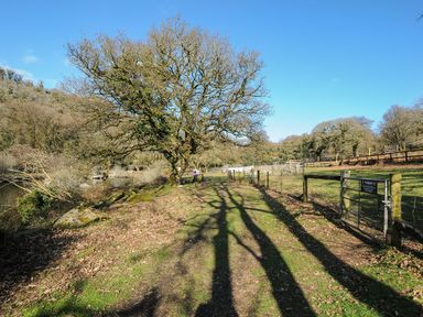 A pathway next to a tree and fence in a rural area at Trebah in St Breward