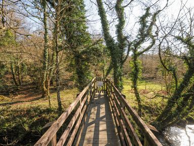 A wooden bridge over a river surrounded by trees at Polzeath St Breward