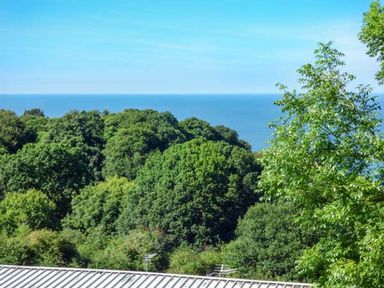 View of trees and sea at I C Lundy Too Bideford Bay Holiday Park near Clovelly