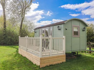 A green cabin on a wooden deck surrounded by trees at The Dragonfly in Bewholme near Hornsea