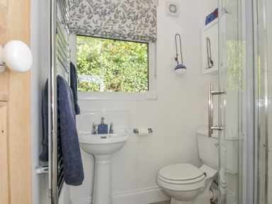 A bathroom with a sink, toilet, and shower at Mayhurst in Looe