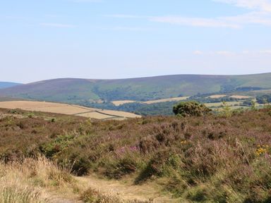 A landscape with hills and vegetation at Denhill Cottage 