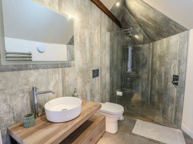 A bathroom with sink, toilet, and shower at Yr Awen in Lampeter