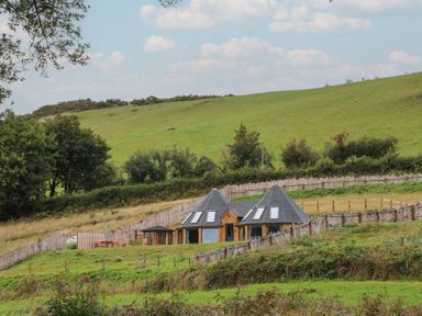 Two houses with a garden and seating area at Y Cwlwm in Lampeter