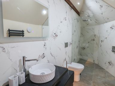 A bathroom with a sink, toilet, and shower at Y Cwlwm, Lampeter