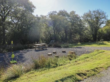 A picnic area with a table and stumps in Dwrgi Llanybydder