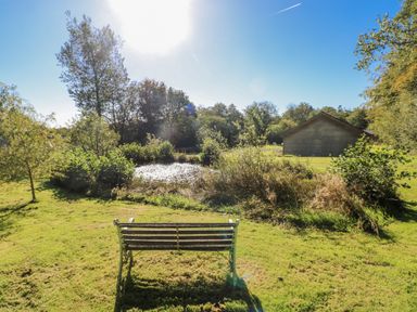 A bench overlooking a pond and shed at Dwrgi in Llanybydder