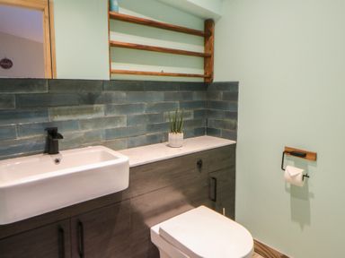 A bathroom with a sink and toilet at Penally Mews St Dogmaels