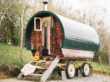 A caravan with a guitar outside and chimney at Goldfinch in Launceston