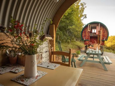 A dining area with a flower vase and a view of a caravan at Goldfinch in Launceston