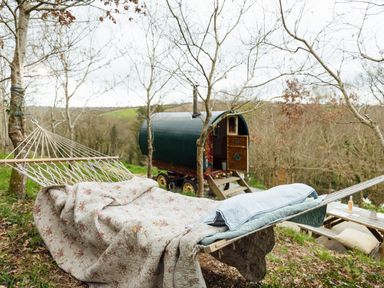 A hammock near a wooden cabin in a natural setting at Goldfinch in Launceston