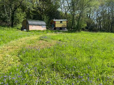 A caravan and wooden structure in a grassy area with bluebells at Prudence in Launceston