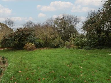 A garden with grass, bushes, and trees at 3 bed property 